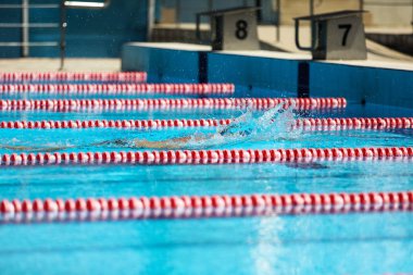 Arka planda yarışma şeritleri olan boş yüzme havuzu.
