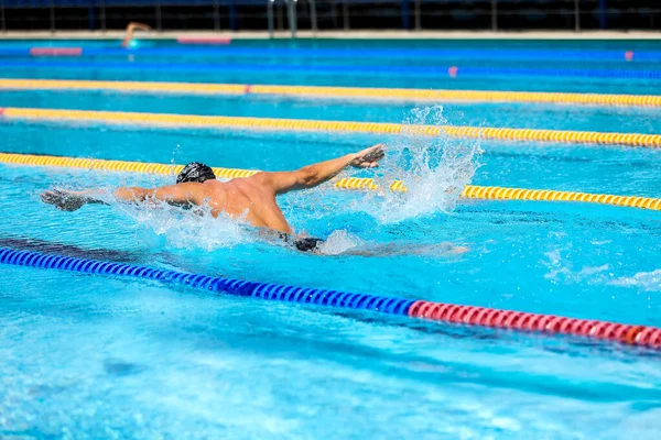 Sportovní muž plavání ve stylu motýla v bazénu s průzračnou modrou vodou. — Stock fotografie
