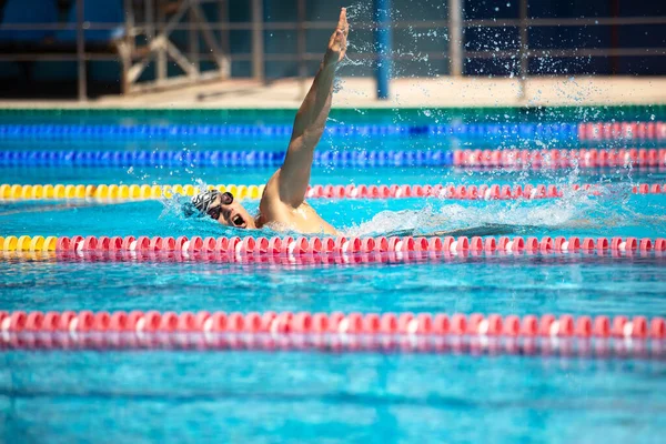 Atletische man zwemmen in de voorkant kruipen stijl in het zwembad met helder blauw water. — Stockfoto