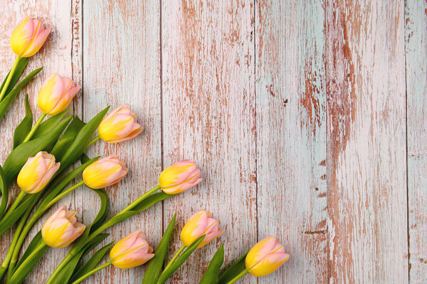 Весенний фон. Цветущие цветущие тюльпаны на деревянном фоне. Копирование пространства
.