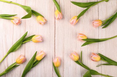 Bahar arka planı. Ahşap arka planda renkli çiçek açan laleler. Boşluğu kopyala