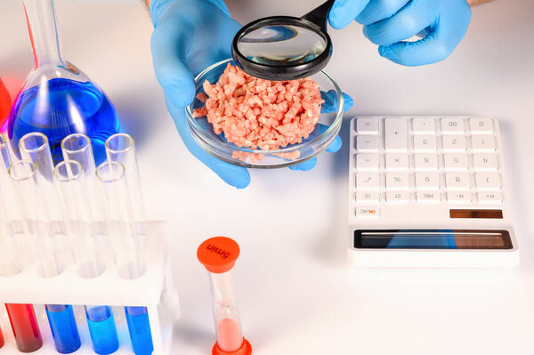 Synthetic meat production. Checking the product for suitability in the laboratory. Artificial meat is the food of the future. Test tube meat.