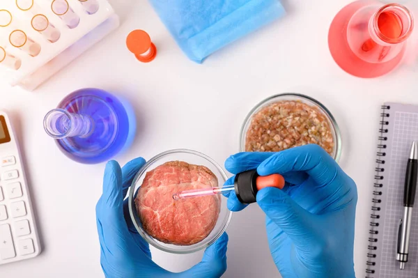 Producción Sintética Carne Revisar Idoneidad Del Producto Laboratorio Carne Artificial —  Fotos de Stock