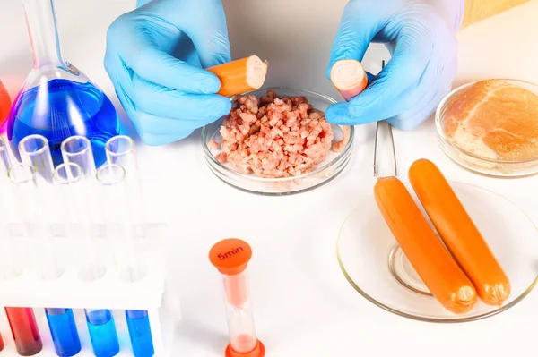 Produzione Sintetica Carne Controllo Dell Idoneità Del Prodotto Laboratorio Carne — Foto Stock