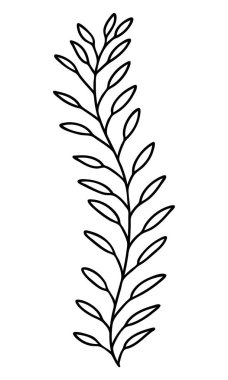 Dekorasyon desenleri, ambalaj kağıdı, duvar kağıdı, kartlar, davetiyeler, kutular, buketler için soyut karalama tek çiçek unsuru. Beyaz arka planda izole edilmiş. Vektör stok illüstrasyonu.