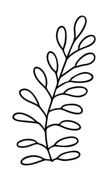 Abstrato doodle único elemento floral para padrões de decoração, papel de embrulho, papel de parede, cartões, convites, caixas de embalagem, buquês. Isolado em fundo branco. Ilustração do estoque vetorial . —  Vetores de Stock