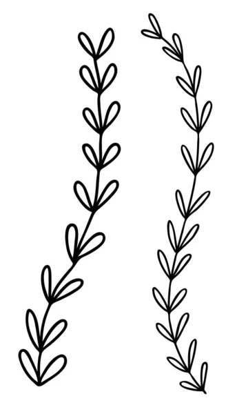 Extracto doodle único elemento floral para los patrones de decoración, papel de envolver, papel pintado, tarjetas, invitaciones, cajas de embalaje, ramos. Aislado sobre fondo blanco. Ilustración de stock vectorial . — Archivo Imágenes Vectoriales