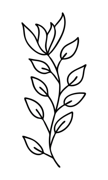 Abstrato doodle único elemento floral para padrões de decoração, papel de embrulho, papel de parede, cartões, convites, caixas de embalagem, buquês. Isolado em fundo branco. Ilustração do estoque vetorial . — Vetor de Stock