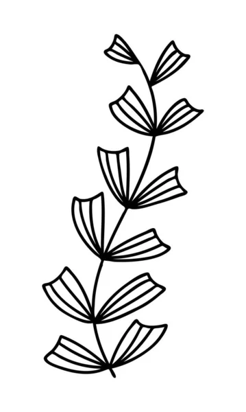Astratto doodle singolo elemento floreale per motivi decorativi, carta da parati, carte da parati, inviti, scatole di imballaggio, mazzi. Isolato su sfondo bianco. Illustrazione dello stock vettoriale . — Vettoriale Stock