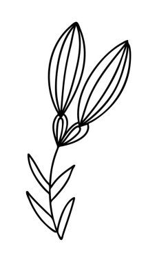 Dekorasyon desenleri, ambalaj kağıdı, duvar kağıdı, kartlar, davetiyeler, kutular, buketler için soyut karalama tek çiçek unsuru. Beyaz arka planda izole edilmiş. Vektör stok illüstrasyonu.