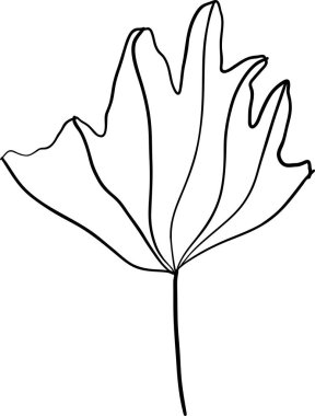 Dekorasyon desenleri, ambalaj kağıdı, duvar kağıdı, kartlar, davetiyeler, kutular, buketler için soyut karalama tek çiçek unsuru. Beyaz arka planda izole edilmiş. Vektör stok illüstrasyonu.