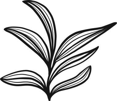 Dekorasyon desenleri, ambalaj kağıdı, duvar kağıdı, kartlar, davetiyeler, kutular, buketler için soyut karalama tek çiçek unsuru. Beyaz arka planda izole edilmiş. Vektör stok illüstrasyonu.