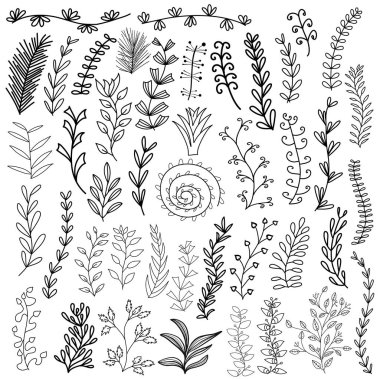 El çizimi çiçekler, yapraklar ve dallar. Beyaz arkaplanda izole.