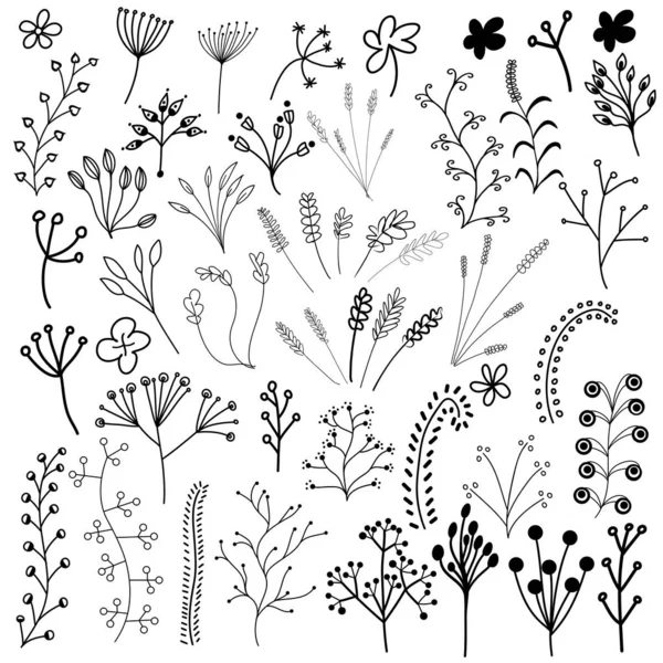 Zestaw Ręcznie Rysowane Doodle Kwiaty Liście Gałęzie Izolacja Białym Tle — Wektor stockowy