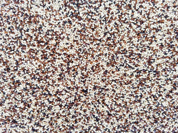 Voedseltextuur Achtergrond Van Quinoa Mix Zaden Voorraadfotografie — Stockfoto