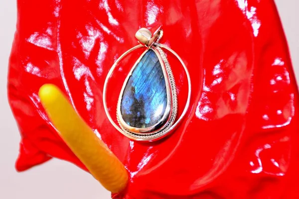 Labrador ile gümüş kolye