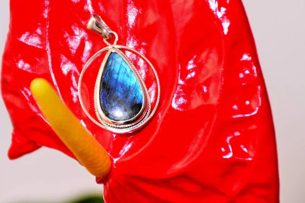 Labrador ile gümüş kolye