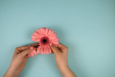 Manikür üst görünümü olan el..