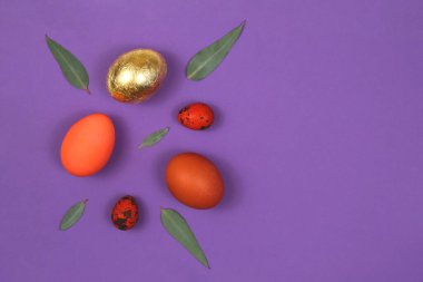 Eflatun arka planda kırmızı ve altın yumurta. Okaliptüs yapraklarıyla süslenmiş. Yukarıdan bak, kapat. Tebrikler, kartpostal, bir yazı için geçmiş.