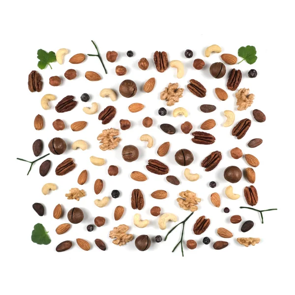 A pattern of nuts on a white background — Stock Photo, Image