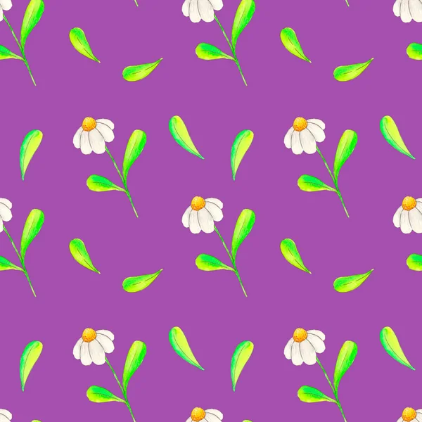 Suluboya, mor arka planda papatya ve yapraklardan oluşan, yay gibi pürüzsüz bir desen çizer.