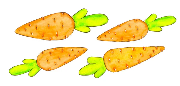 水彩画 白色背景上的一组四只橙色胡萝卜 — 图库照片