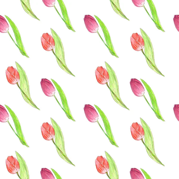 Suluboya, lalelerden oluşan beyaz bir arkaplan üzerine kusursuz bir bahar deseni çizer