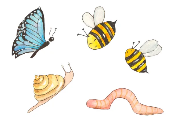 Suluboya çizimi. Mavi kelebek, salyangoz, solucan ve arılardan oluşan bir set.