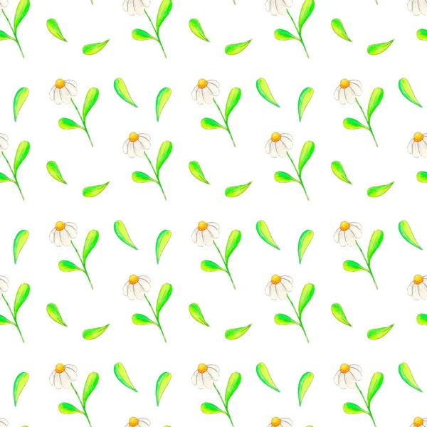 Aquarelas Desenhar Padrão Sem Costura Primavera Fundo Branco Consistindo Margaridas — Fotografia de Stock