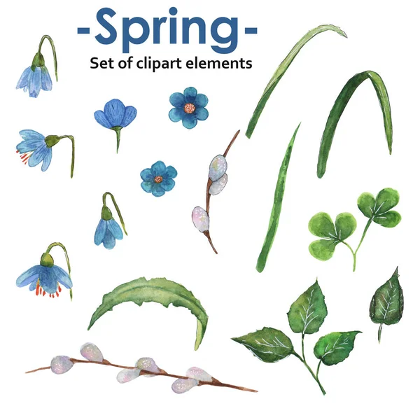 Suluboya çizimi. Bahar seti mavi çiçekler, yapraklar ve tomurcuklu dallar