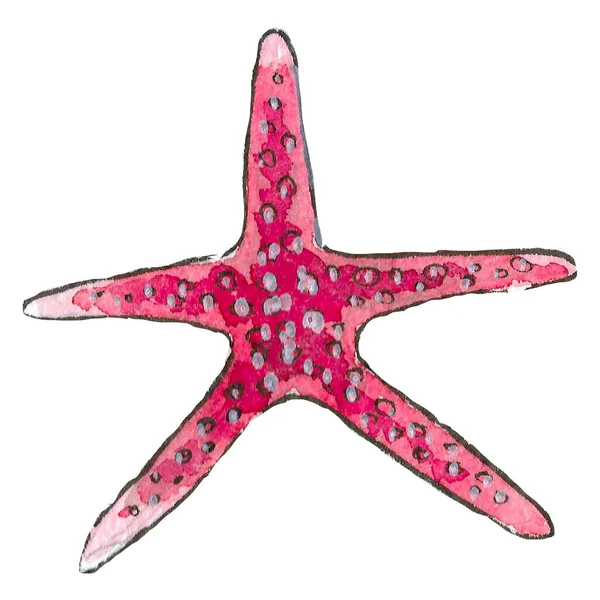 Акварельная Иллюстрация Розовой Морской Звезды Белом Фоне — стоковое фото