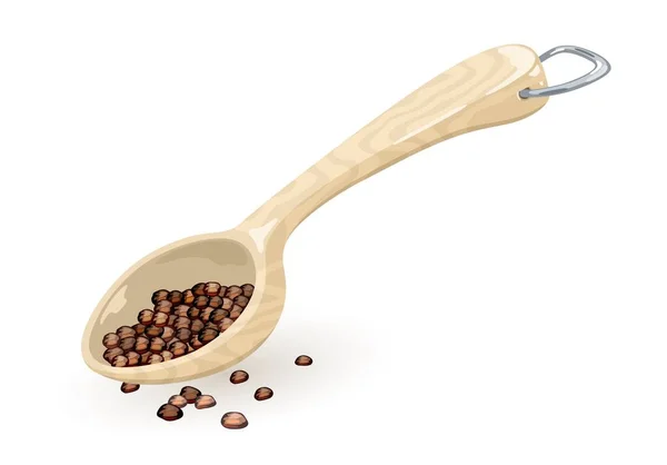 Black pepper corns are in measuring wooden or plastic spoon, scoop. — ストックベクタ