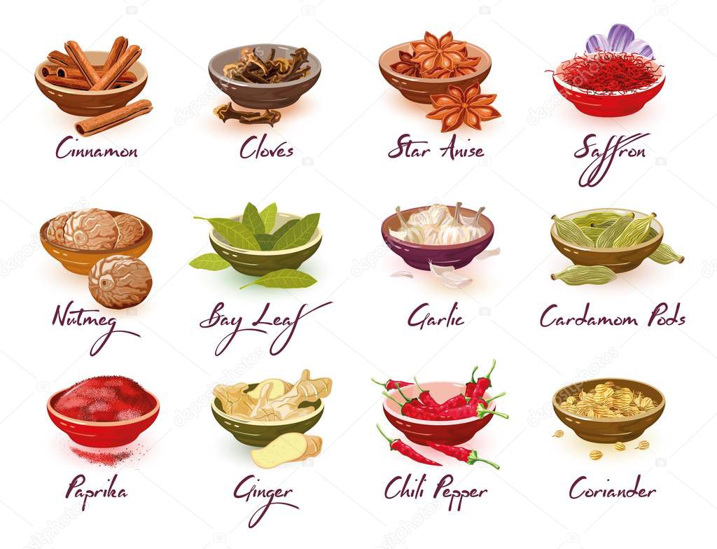 Big vector set with different kinds of spices, herbs, condiments, additives and lettering.
