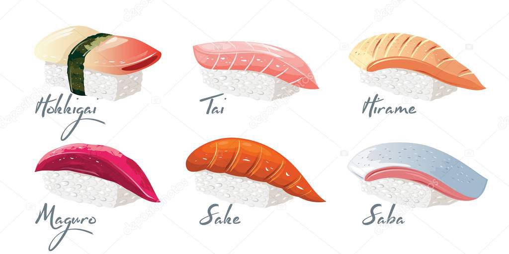 Hokkigai, Tai, Hirame, Maguro, Sake, Saba sushi. Vector set with japanese dishes from fishes and rice.