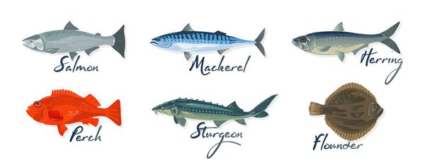 Big set with marine fishes and lettering salmon, mackerel, perch, herring, sturgeon, flounder.