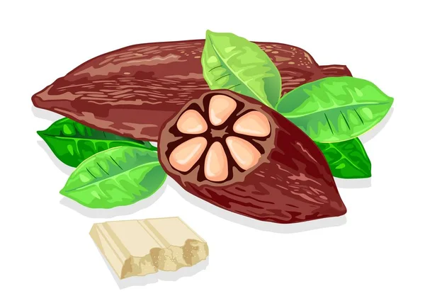 Deliciosa barra de chocolate blanco hecha de granos de cacao. vainas de cacao fresco y hojas verdes . — Vector de stock