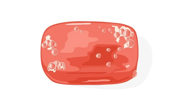 Jabonera cerrada de plástico rojo claro, caja o soporte con burbujas de espuma en la superficie . — Vector de stock