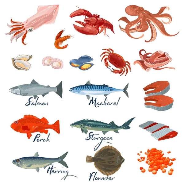 Grand ensemble vectoriel avec différentes variétés de poissons marins et spécialités de fruits de mer, spécialités . — Image vectorielle