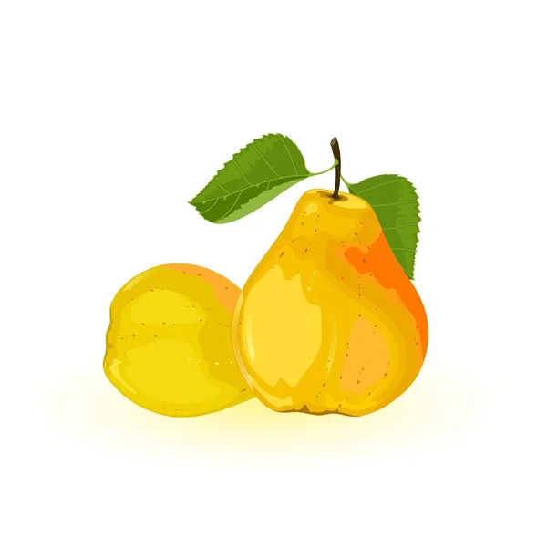 Dos peras amarillas maduras con hojas verdes. Snack jugoso dulce de verano. Deliciosa fruta . — Vector de stock