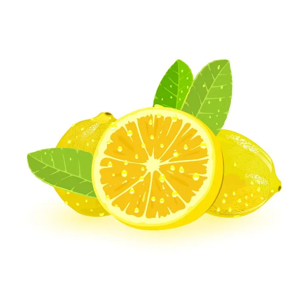 Zwei ganze und eine in Scheiben geschnittene Zitrone mit grünen Blättern. Aromatische gelbe Zitrusfrüchte mit saurem Geschmack. — Stockvektor