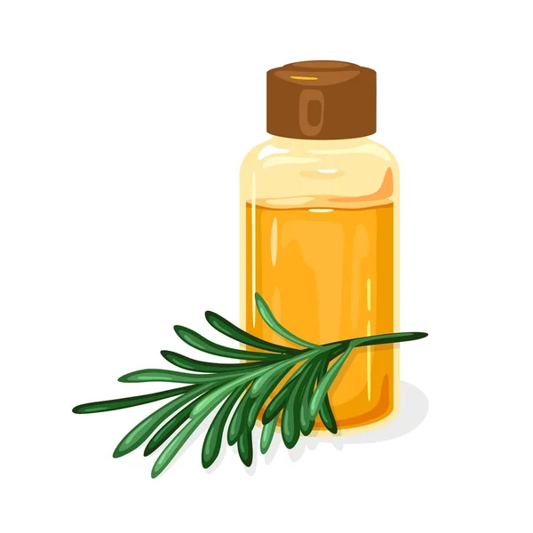 Green twig of Siberian pine or Melaleuca is near glass jar closed by cap with curative essential oil. — Stock Illustration Green twig of Siberian pine or Melaleuca is near glass jar closed by cap with curative essential oil. Stock Vector