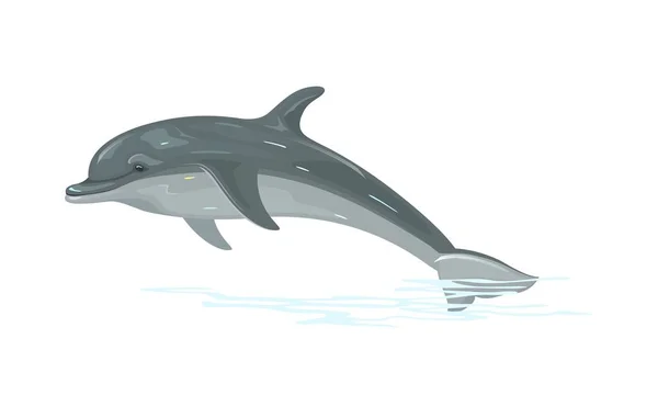 O golfinho é um mamífero aquático dentro da infraordem Cetacea. Animal marinho altamente social e inteligente . — Vetor de Stock
