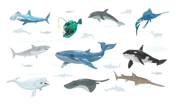 Wektorowy zestaw delfinów, żabnicowatych, włócznika, wieloryba, rekina, piły, bieługi, torpedy atlantyckie, młot. — Wektor stockowy