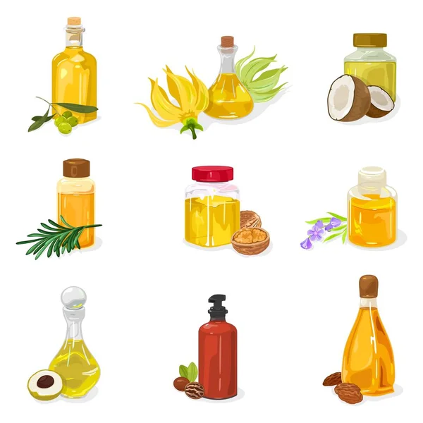 Αιθέριο έλαιο ελιάς, Ylang Ylang, καρύδα, πεύκο, μελαλεούκα, καρυδιά, λεβάντα, longan, πεκάν, αμύγδαλο. Ορισμός. — Διανυσματικό Αρχείο