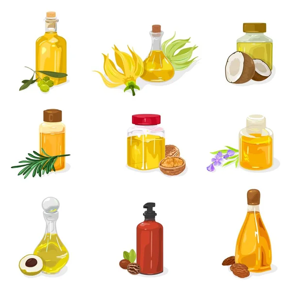 Essential oil of olives, Ylang Ylang, coconut, siberian pine, melaleuca, walnut, lavender, longan, pecan, almond. Set. — Stock Illustration Essential oil of olives, Ylang Ylang, coconut, siberian pine, melaleuca, walnut, lavender, longan, pecan, almond. Set. Vector Graphics