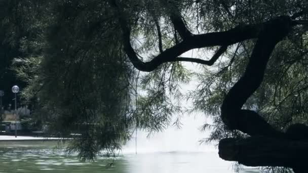 喷泉和树在斯图加特的新宫 — 图库视频影像