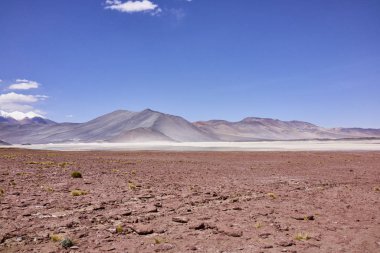 Kurak Atacama manzara Panorama 