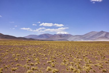 Miniques volkan karmaşık Şili yakınındaki kurak arazi