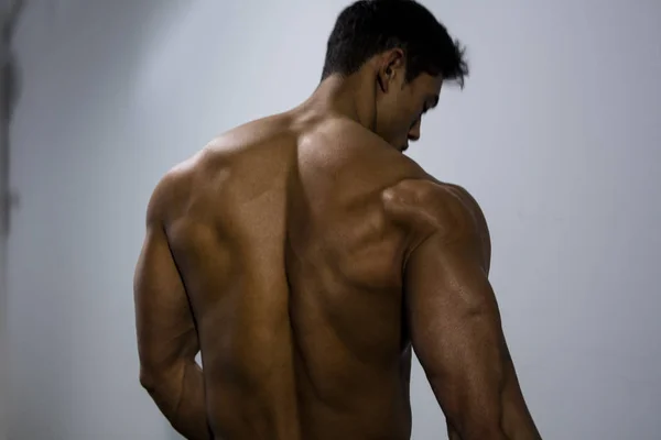 Sırt kasları bir Fitness modeli