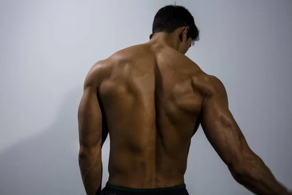 Sırt kasları bir Fitness modeli